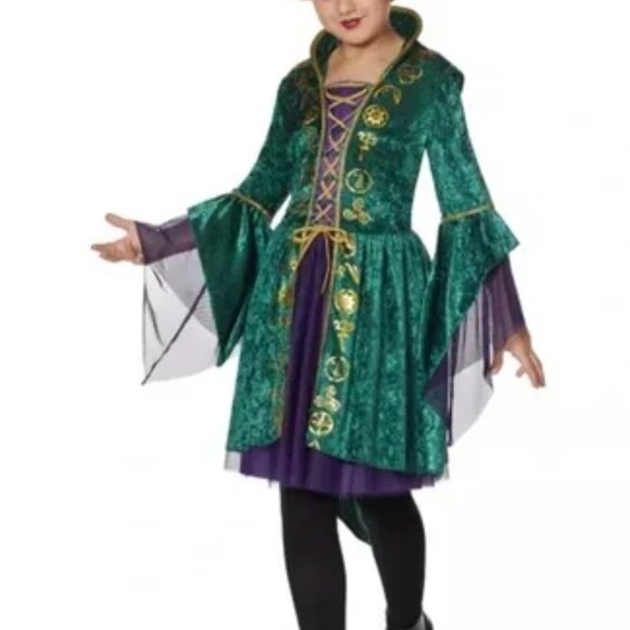Disney Hocus Pocus Winifred costume M - Picture 1 of 6